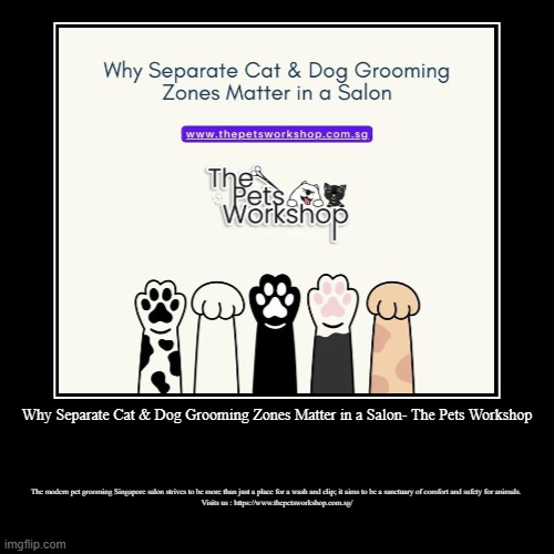 Why Separate Cat & Dog Grooming Zones Matter in a Salon- The Pets Workshop | The modern pet grooming Singapore salon strives to be more than | image tagged in funny,demotivationals | made w/ Imgflip demotivational maker
