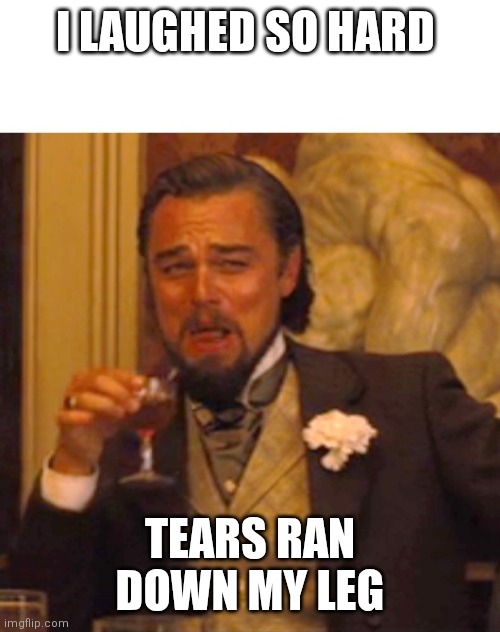 Laughing hard | I LAUGHED SO HARD; TEARS RAN DOWN MY LEG | image tagged in leonardo dicaprio django laugh,funny memes | made w/ Imgflip meme maker
