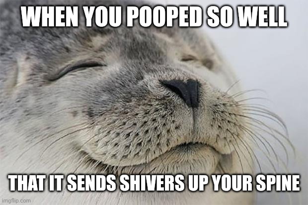 Satisfied Seal | WHEN YOU POOPED SO WELL; THAT IT SENDS SHIVERS UP YOUR SPINE | image tagged in memes,satisfied seal | made w/ Imgflip meme maker