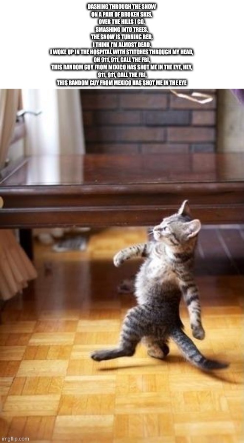 Merry F*cking Christmas, Dark_humour Stream, And A Happy Motherf*cking Good Year. | DASHING THROUGH THE SNOW
ON A PAIR OF BROKEN SKIS,
OVER THE HILLS I GO,
SMASHING INTO TREES,
THE SNOW IS TURNING RED,
I THINK I'M ALMOST DEAD,
I WOKE UP IN THE HOSPITAL WITH STITCHES THROUGH MY HEAD,
OH 911, 911, CALL THE FBI,
THIS RANDOM GUY FROM MEXICO HAS SHOT ME IN THE EYE, HEY,
 911, 911, CALL THE FBI,
THIS RANDOM GUY FROM MEXICO HAS SHOT ME IN THE EYE | image tagged in memes,cool cat stroll | made w/ Imgflip meme maker