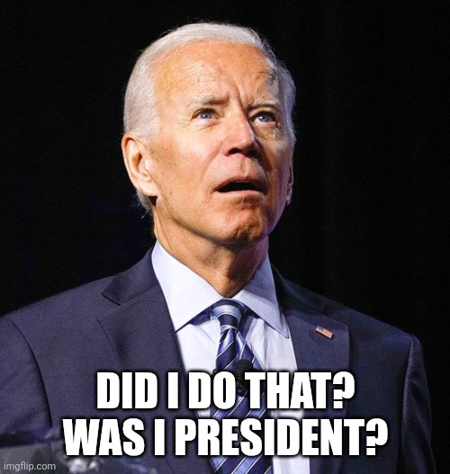 Joe Biden | DID I DO THAT? WAS I PRESIDENT? | image tagged in joe biden | made w/ Imgflip meme maker