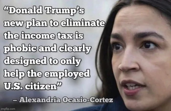 The Future of the Democrat Party | image tagged in brain rot,crazy aoc,we the people,well yes but actually no,politicians suck | made w/ Imgflip meme maker