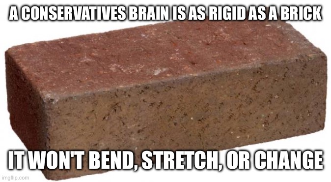 Brick brain | A CONSERVATIVES BRAIN IS AS RIGID AS A BRICK; IT WON'T BEND, STRETCH, OR CHANGE | image tagged in brick | made w/ Imgflip meme maker