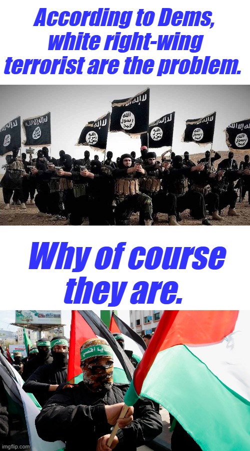 It's now being reported Biden & Barry let in 18k suspect terrorist into the US.U might find out now WHY the 2nd is so important | According to Dems, white right-wing terrorist are the problem. Why of course they are. | made w/ Imgflip meme maker