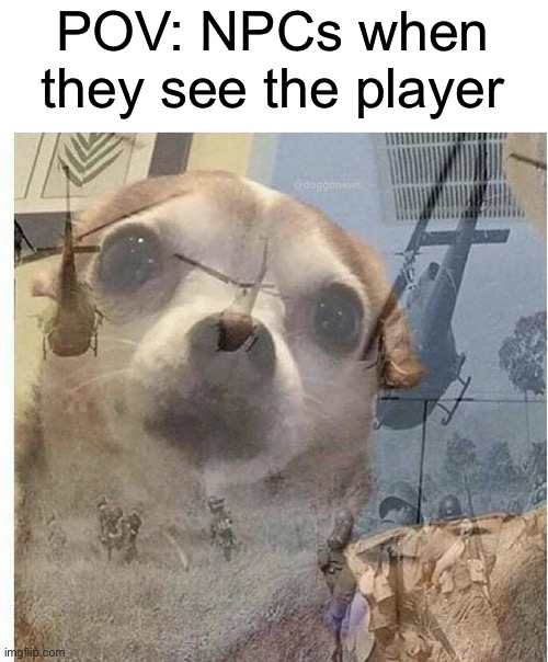 POV: NPCs when they see the player | image tagged in ptsd chihuahua | made w/ Imgflip meme maker