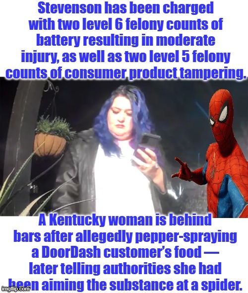 Politics wouldn't feature it.Now their blaming spiders for their criminal behavior. | made w/ Imgflip meme maker