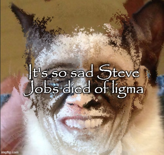 Cat obama | It's so sad Steve Jobs died of ligma | image tagged in cat obama | made w/ Imgflip meme maker