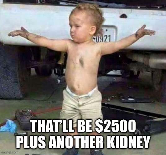 mechanic kid | THAT’LL BE $2500 PLUS ANOTHER KIDNEY | image tagged in mechanic kid | made w/ Imgflip meme maker