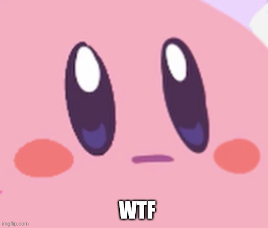 Blank Kirby Face | WTF | image tagged in blank kirby face | made w/ Imgflip meme maker