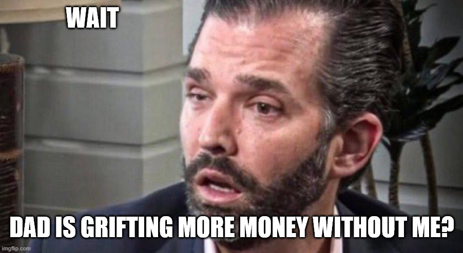 don trump jr coked up (facing left) | WAIT DAD IS GRIFTING MORE MONEY WITHOUT ME? | image tagged in don trump jr coked up facing left | made w/ Imgflip meme maker