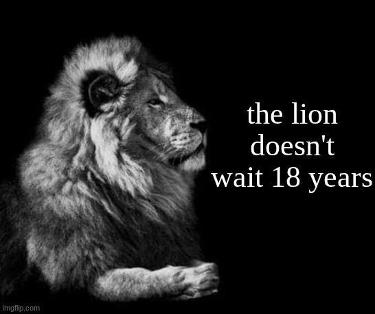 the lion.. | the lion doesn't wait 18 years | image tagged in the lion | made w/ Imgflip meme maker