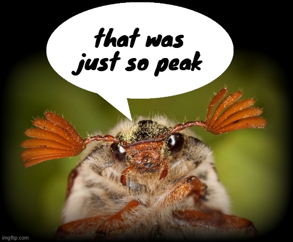 Doodlebug/odd announcement temp | that was just so peak | image tagged in doodlebug/odd announcement temp | made w/ Imgflip meme maker