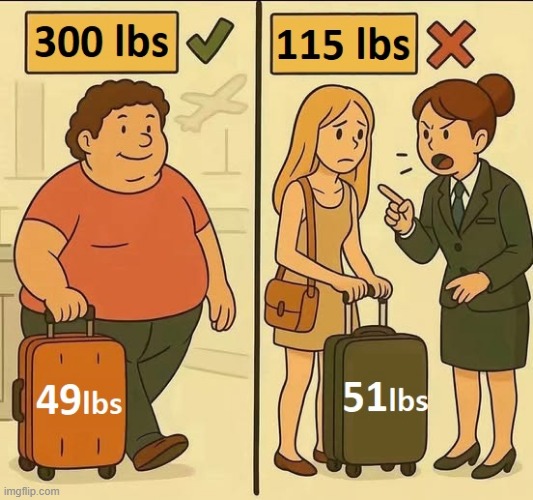The irony of it | image tagged in fat guy,yo mama so fat,overweight,airlines,travel,fat shame | made w/ Imgflip meme maker