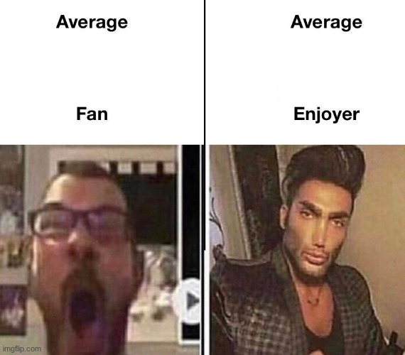 Average Fan vs. Average Enjoyer | image tagged in average fan vs average enjoyer | made w/ Imgflip meme maker