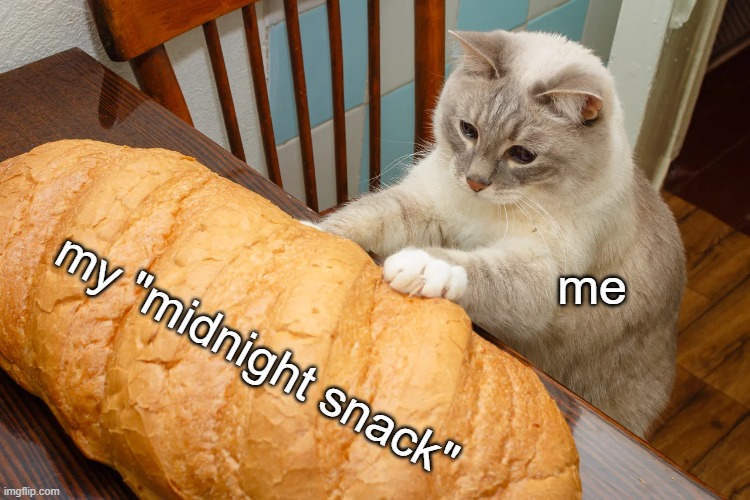 so hungry at 3am | my "midnight snack"; me | image tagged in cat with bread,3am,hungry,midnight snack,memes,baugette | made w/ Imgflip meme maker