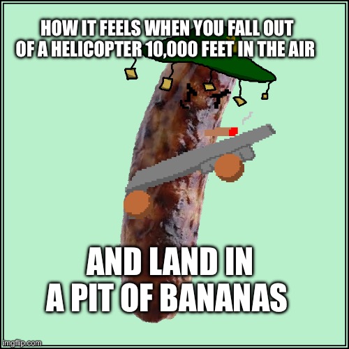 Y’all with me on this one? | HOW IT FEELS WHEN YOU FALL OUT OF A HELICOPTER 10,000 FEET IN THE AIR; AND LAND IN A PIT OF BANANAS | image tagged in sausage,relatable,lol,funny | made w/ Imgflip meme maker