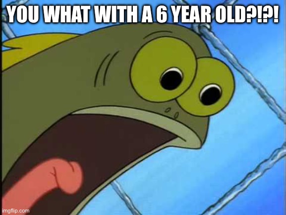 You what?! | YOU WHAT WITH A 6 YEAR OLD?!?! | image tagged in you what | made w/ Imgflip meme maker