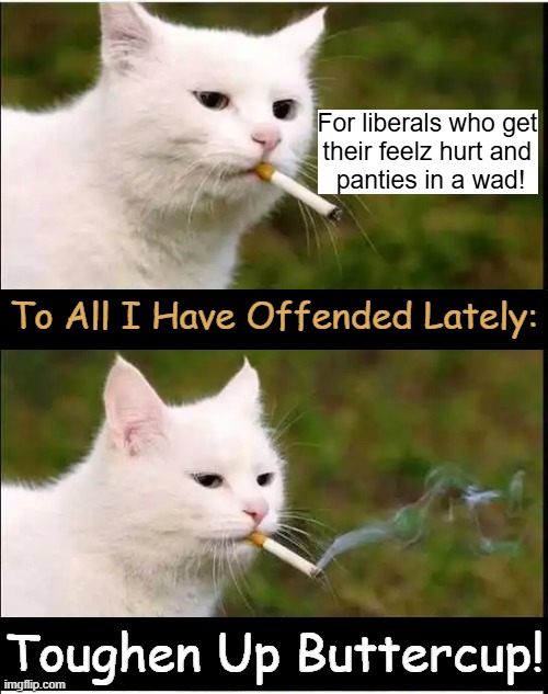 Free speech includes facts you might not want to hear & truth over political correctness. vB | For liberals who get 

their feelz hurt and 

panties in a wad! To All I Have Offended Lately:; Toughen Up Buttercup! | image tagged in liberals,words that offend liberals,facts,truth,free speech,offended | made w/ Imgflip meme maker