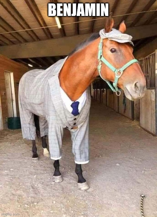 BENJAMIN | made w/ Imgflip meme maker