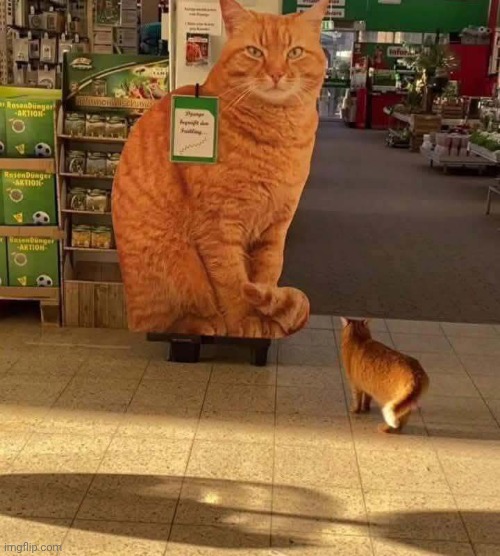 Remember who you are! | made w/ Imgflip meme maker