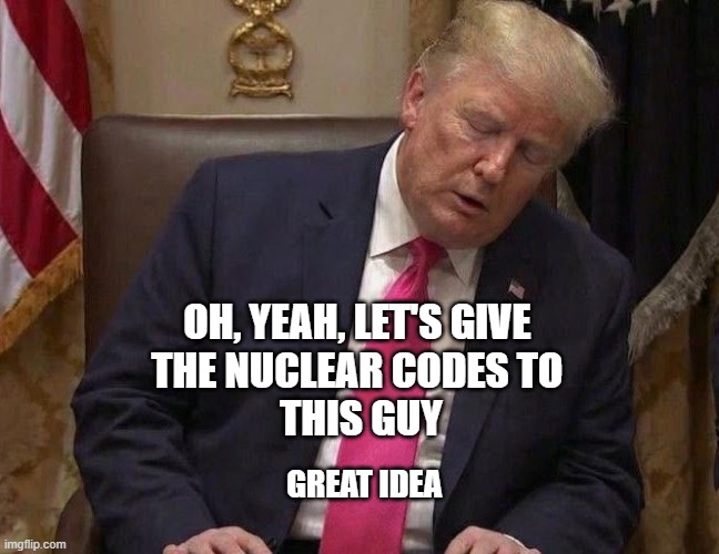 OH, YEAH, LET'S GIVE 
THE NUCLEAR CODES TO 
THIS GUY; GREAT IDEA | image tagged in trump,asleep,nuclear power | made w/ Imgflip meme maker