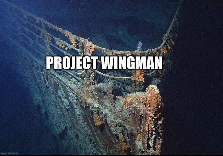 Titanic Wreckage | PROJECT WINGMAN | image tagged in titanic wreckage | made w/ Imgflip meme maker