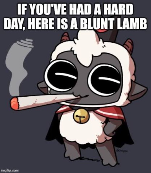 Fat blunt lamb | image tagged in fat blunt lamb | made w/ Imgflip meme maker