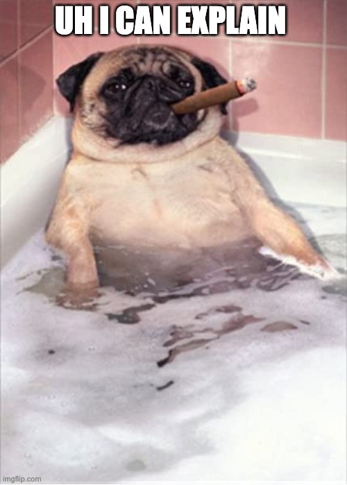 Pug Dog Cigar Bubble Bath | UH I CAN EXPLAIN | image tagged in pug dog cigar bubble bath | made w/ Imgflip meme maker
