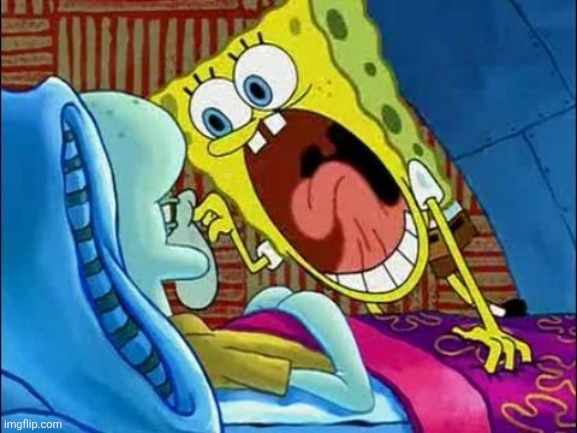 spongebob scream at squidward | image tagged in spongebob scream at squidward | made w/ Imgflip meme maker