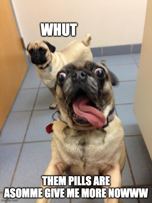 pug love | WHUT; THEM PILLS ARE ASOMME GIVE ME MORE NOWWW | image tagged in pug love | made w/ Imgflip meme maker