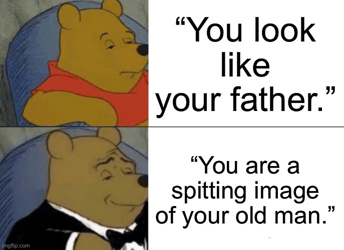 Tuxedo Winnie The Pooh Meme | “You look like your father.”; “You are a spitting image of your old man.” | image tagged in memes,tuxedo winnie the pooh | made w/ Imgflip meme maker