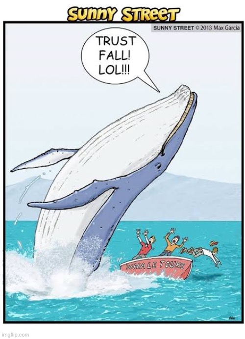 It would be their last whale tour… | image tagged in comics,sunny street,whale,trust fall,last tour | made w/ Imgflip meme maker
