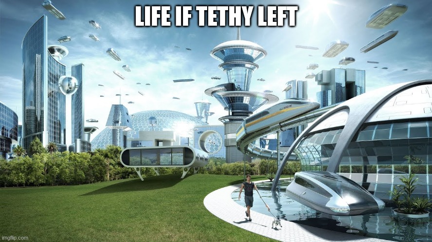 Life if | LIFE IF TETHY LEFT | image tagged in life if | made w/ Imgflip meme maker