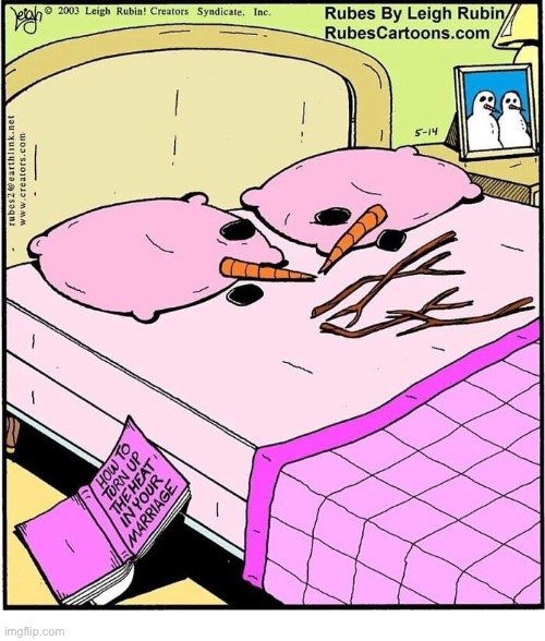 Rubes | image tagged in comics,rubes,snow people,melted,heated up | made w/ Imgflip meme maker