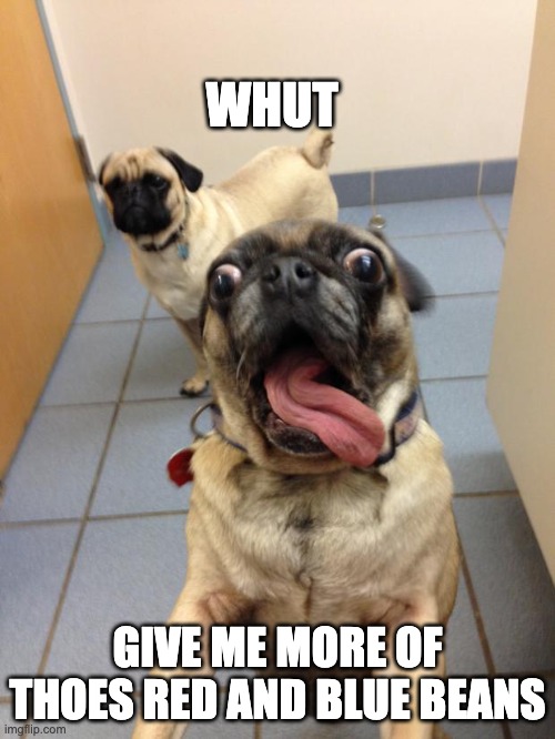 pug love | WHUT; GIVE ME MORE OF THOES RED AND BLUE BEANS | image tagged in pug love | made w/ Imgflip meme maker