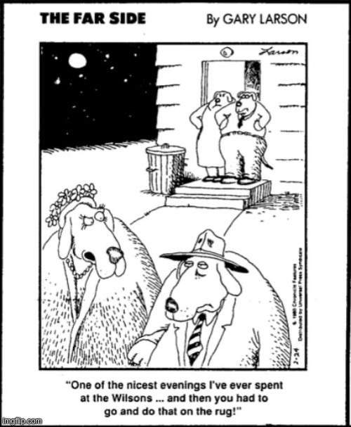 Dogs being dogs… | image tagged in the far side,comics,dogs,accident,rug | made w/ Imgflip meme maker