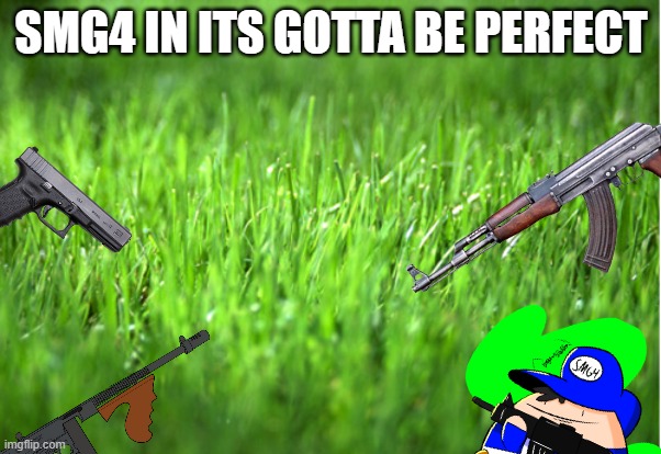 no no | SMG4 IN ITS GOTTA BE PERFECT | image tagged in grass is greener | made w/ Imgflip meme maker