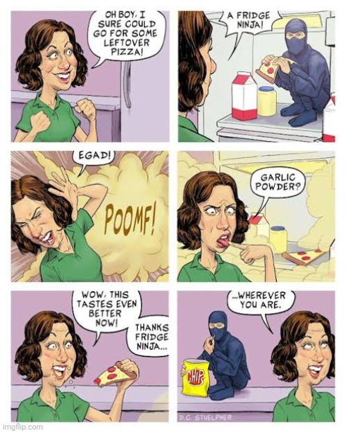 Fridge Ninja | image tagged in fridge,ninja,refrigerator,pizza,comics,chips | made w/ Imgflip meme maker