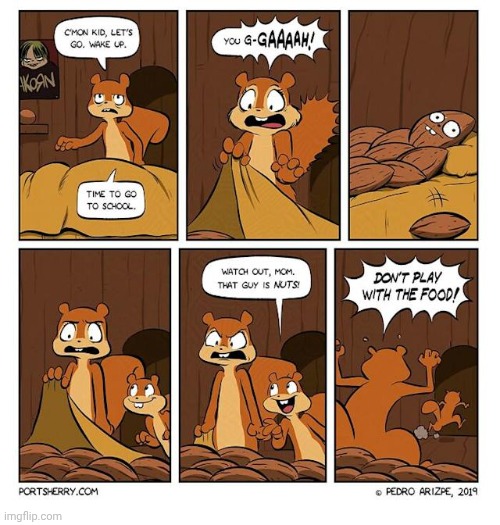 NUTS | image tagged in squirrel,nuts,nut,bed,comics,comics/cartoons | made w/ Imgflip meme maker