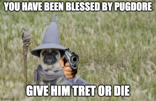 Wizard Pug | YOU HAVE BEEN BLESSED BY PUGDORE; GIVE HIM TRET OR DIE | image tagged in wizard pug | made w/ Imgflip meme maker
