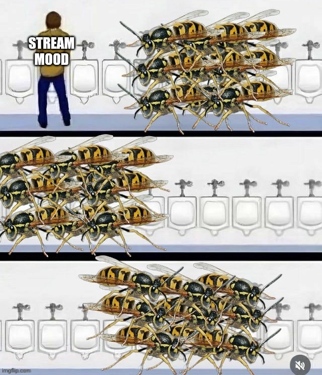 Stream mood | STREAM MOOD | image tagged in stream mood | made w/ Imgflip meme maker