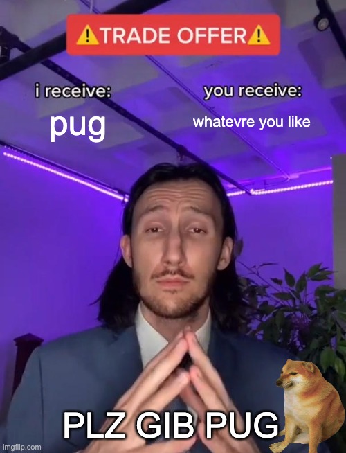 Trade Offer | pug; whatevre you like; PLZ GIB PUG | image tagged in trade offer | made w/ Imgflip meme maker