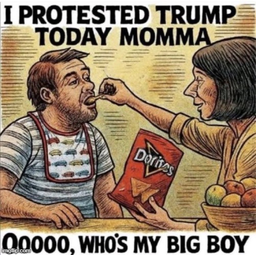 Beta TDS male | image tagged in tds,democratic party | made w/ Imgflip meme maker