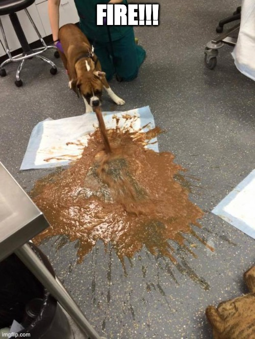 dog vomit | FIRE!!! | image tagged in dog vomit | made w/ Imgflip meme maker