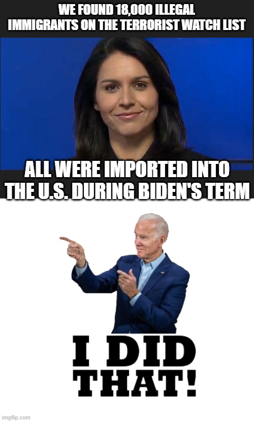 WE FOUND 18,000 ILLEGAL IMMIGRANTS ON THE TERRORIST WATCH LIST ALL WERE IMPORTED INTO THE U.S. DURING BIDEN'S TERM | image tagged in tulsi gabbard,i did that biden | made w/ Imgflip meme maker