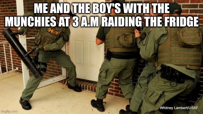 FBI open up | ME AND THE BOY'S WITH THE MUNCHIES AT 3 A.M RAIDING THE FRIDGE | image tagged in fbi open up | made w/ Imgflip meme maker