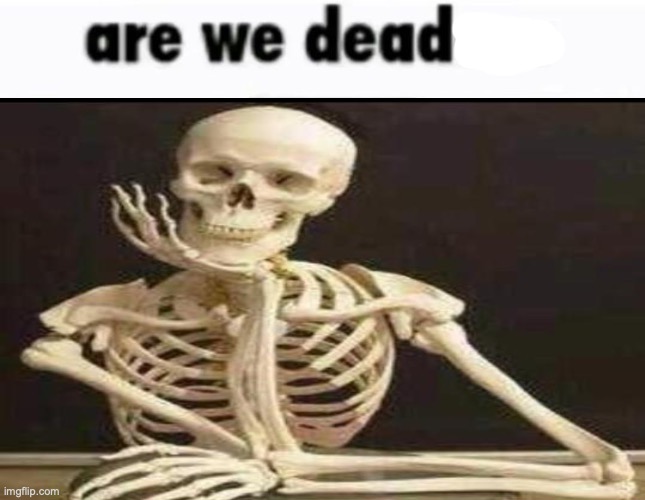 are we deadass | image tagged in are we deadass | made w/ Imgflip meme maker
