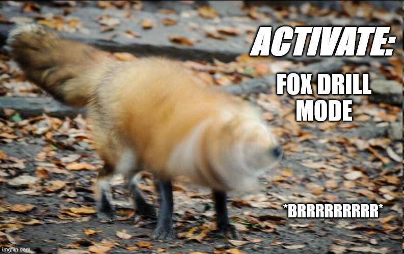 Fox Go Brrrrrr | ACTIVATE:; FOX DRILL
MODE; *BRRRRRRRRR* | image tagged in foxes,fox | made w/ Imgflip meme maker