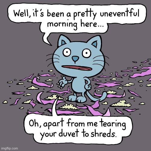 Cattitude | image tagged in cats,comics,cattitude,destructive | made w/ Imgflip meme maker