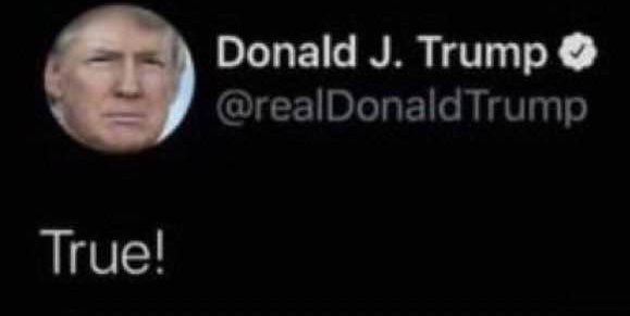 Donald trump saying true Blank Meme Template